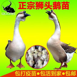 价格 厂家 中国供应商