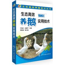 孵化场鹅苗